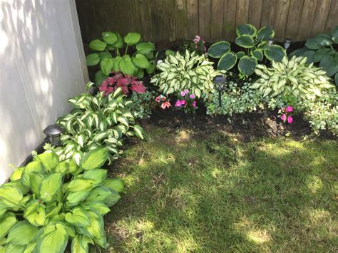 23 Hydrangea and Hosta Garden Ideas To Try This Year | SharonSable