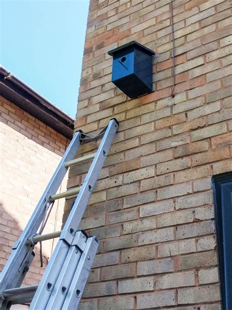 Image result for Raspberry Pi Bird Camera