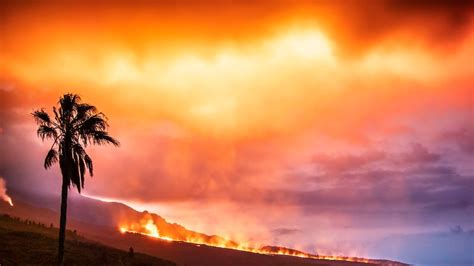 Paradise Lost: why recent island wildfires across Hawaii, Spain, Greece ...