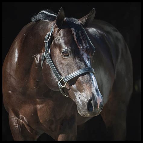 Image result for vs Code Blue Baby