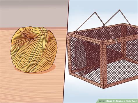 Image result for Using a Fish Trap