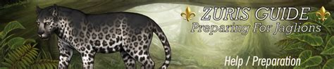 Image result for Rotary Encoding Disc