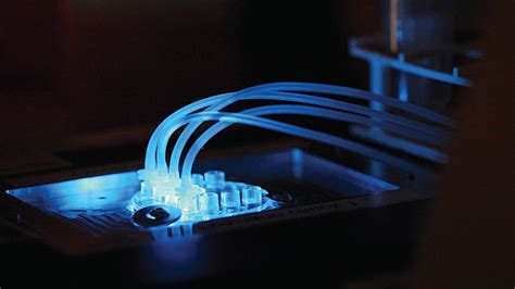 20 Athens Fun Facts: Ancient and Modern Marvels of Greece's Capital ...