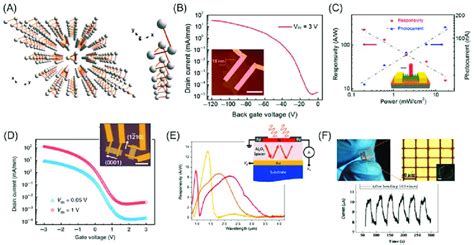 Image result for Selenium Crystal Structure