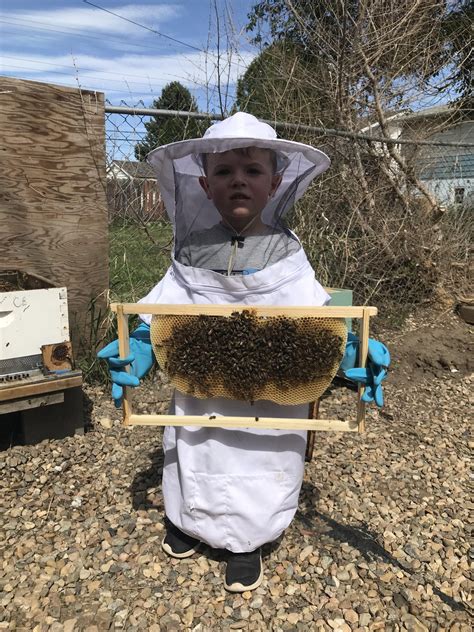 My little dude is so proud of his first frame. : r/Beekeeping