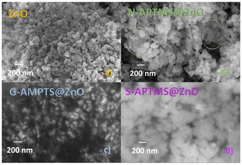 Syntheses of APTMS-Coated ZnO: An Investigation towards Penconazole ...