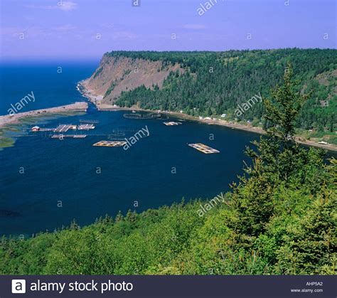 Atlantic Canada Maritimes Fish High Resolution Stock Photography and ...