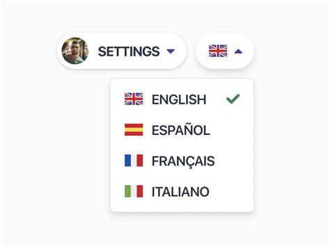 Image result for Language Switcher Example