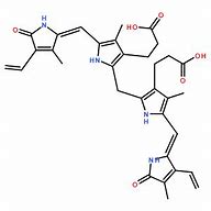 Image result for DBIL 直接胆红质