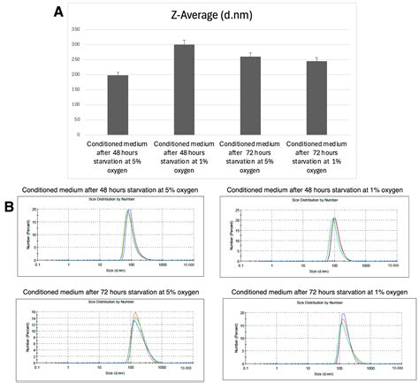Physicochemical and Biological Modifications in Mesenchymal Stem Cells ...