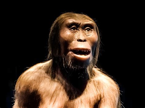 How Humans Reproduce Real 的图像结果