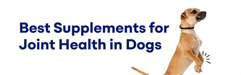 Dog Joint Supplements: Hip Pain & Mobility | K9 Vitality