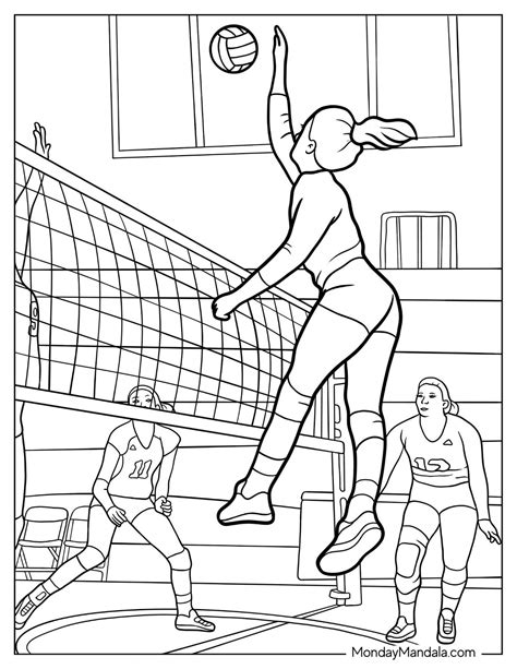 18 Volleyball Coloring Pages (Free PDF Printables)