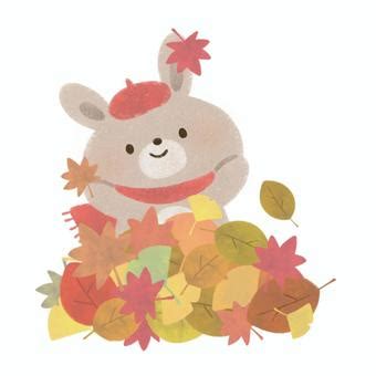 関連する画像の詳細をご覧ください。うさぎ と 落ち葉イラスト - No: 24376771｜無料イラスト・フリー素材なら「イラストAC」