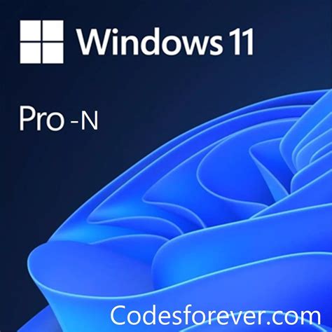 Image result for Windows 11 Pro Sign in Card