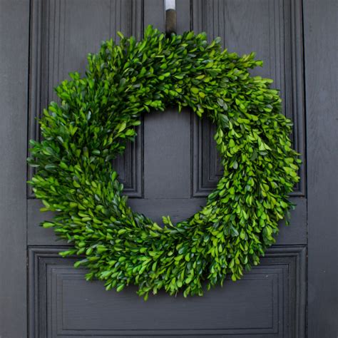Natural Preserved Green Boxwood Everyday Front Door Wreath 22" - Darby ...