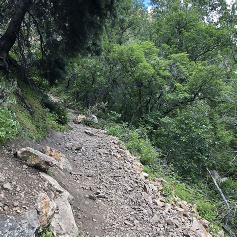 Heughs Canyon Trail - Utah | AllTrails
