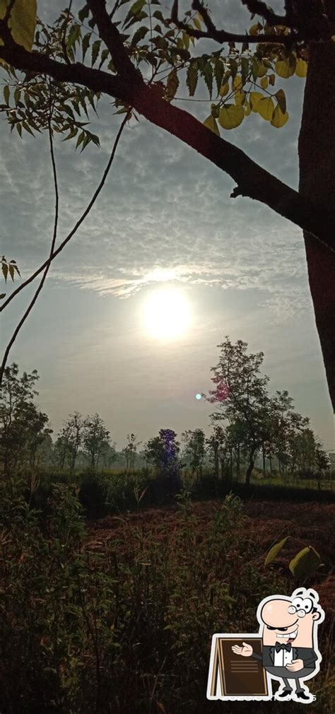 tejas Ramteke - Restaurant menu, prices and reviews