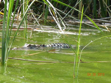 Gallery | Hardee County Property Appraiser