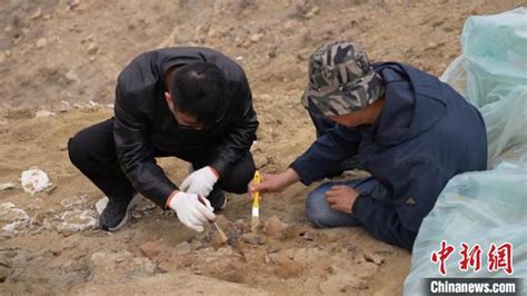 内蒙古鄂托克旗恐龙遗迹化石国家级自然保护区新发现一处恐龙足迹化石点 - 神秘的地球 科学|自然|地理|探索
