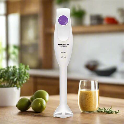 AM5810 Maharaja Elitemixx 250 Watts Hand Blender – Amd-Deodap