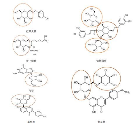 【有机】远程导向基团控制糖苷化立体选择性_Qian_Song_分子