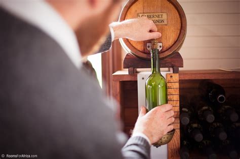 Make Your Own Wine at Excelsior Manor