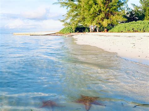 CAYMAN STYLE CHARTERS (2026) All You Need to Know BEFORE You Go (w ...