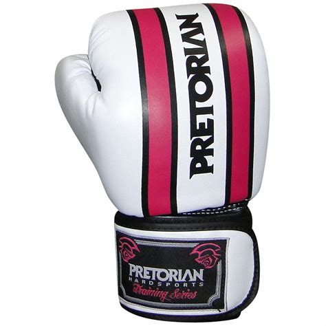 Rezultat imagine pentru Boxe Training