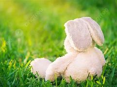 Image result for Bunny Sitting Up