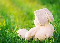 Image result for Bunny Sitting Hunched