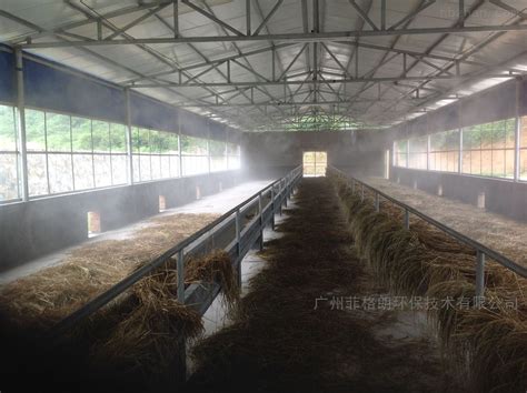 中国规模最大的养猪场：一年卖出2200万头猪，该企业比小米还值钱_温氏