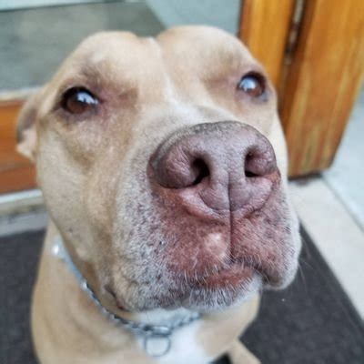 Image result for Rusty G