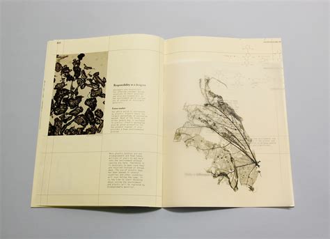 Visual Essay Example 的图像结果