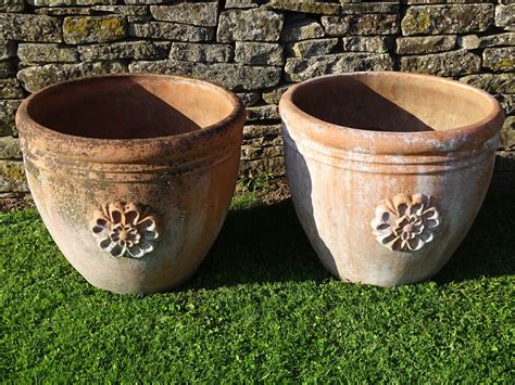 Tall Terracotta Planters Terracotta Pots | Grow Urban.