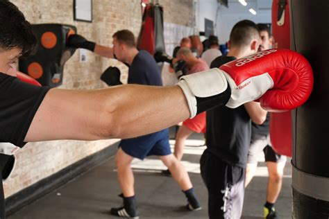 Image result for Boxing Basics