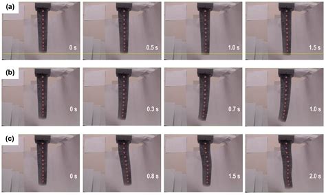 An Octopus-Inspired Soft Pneumatic Robotic Arm