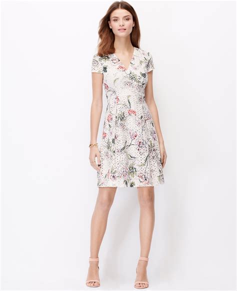 Ann Taylor Loft Petite Cocktail Dresses at Eva Timmins blog