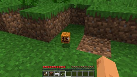 Image result for Minecraft Pumpkin Tutorial