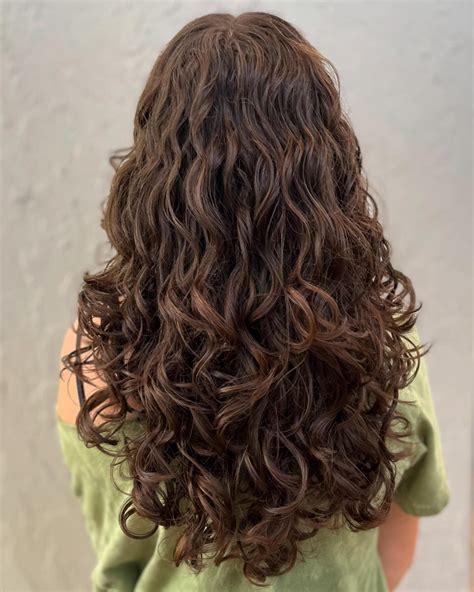 Pin by gabriela on Cabelos in 2025 | Long layered curly hair, Haircuts ...