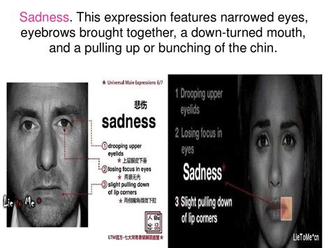 Microexpression 的图像结果