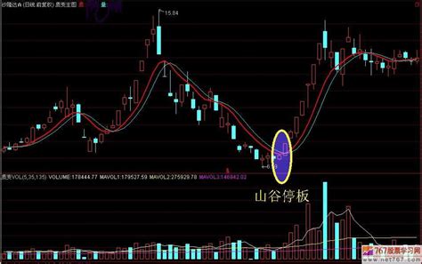 蛋白氨基酸 蛋白质的基础氨基酸 20种基本氨基酸