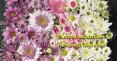 grossista fiori come acquistare fiori recisi foglie e fogliami dal grossista grossista fiori come acquistare fiori recisi foglie e fogliami dal grossista