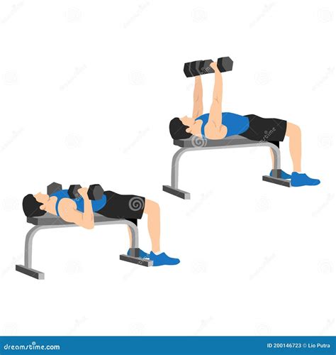 Man Doing Dumbbell Flat Bench Press. Chest Exercise Stock Vector ...