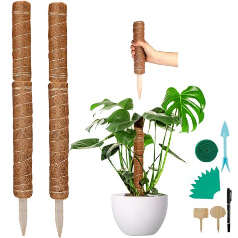 Buy Hicdaw 56Inches Moss Pole for Monstera Support Sticks Coco Coir ...