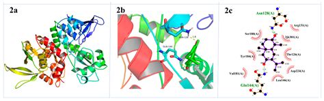 Vicinal Diol Sesquiterpenes from Cinnamomum migao with Neuroprotective ...