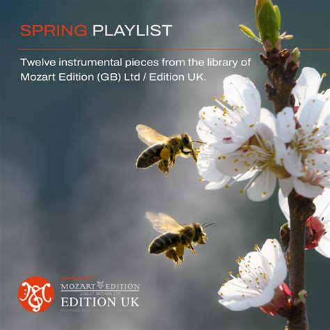 Image result for Spring Batch Playlist