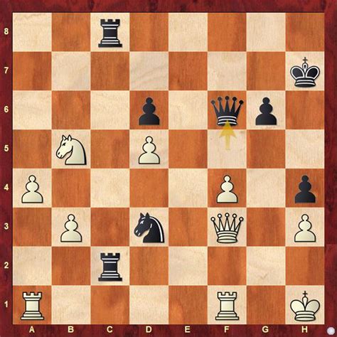 World Cadets 2022: Shubhi, Charvi, Ethan and Safin are the medal ...