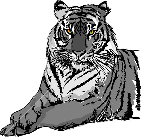 Tiger Vector 的图像结果