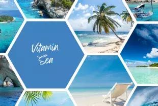 Image result for Monster.com Coupon Code